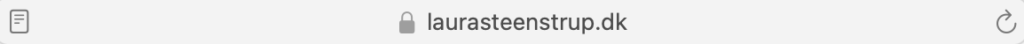 Sikkerhed på hjemmesiden Laura Steenstrup